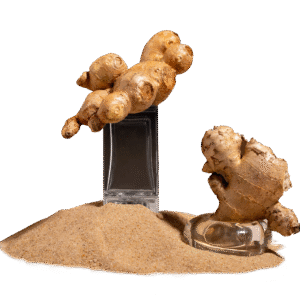 suth finger (dry ginger) 1 kg