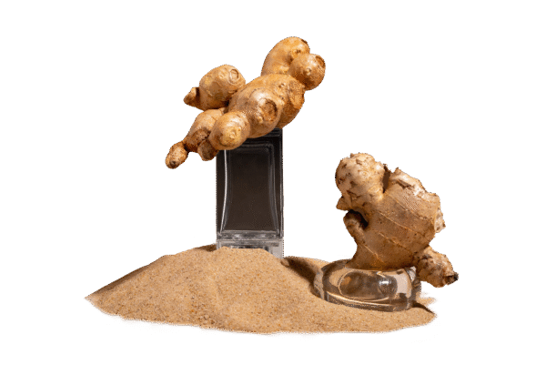 suth finger (dry ginger) 1 kg