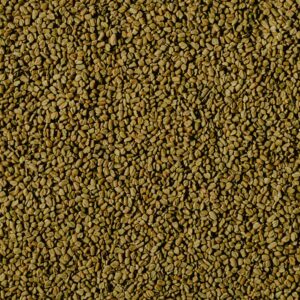 Detailed view of golden brown fenugreek seeds depicting natural texture.