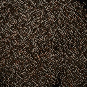 Detailed close-up of mustard seeds with rich texture on a black background.