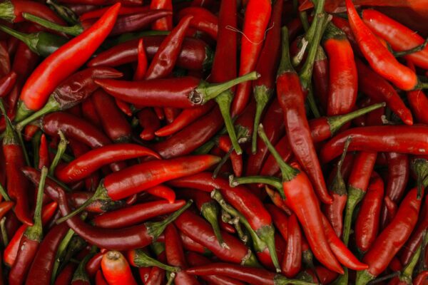 Close-up of vibrant red chili peppers showcasing texture and freshness.